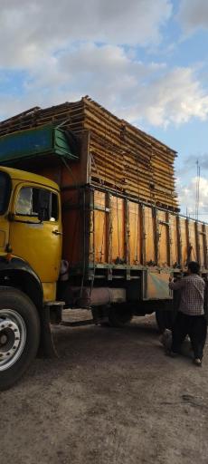 عکس آریا پالت شرق 