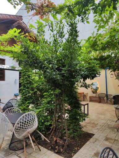 عکس ایل کافه