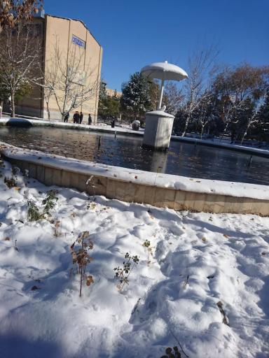 عکس دانشگاه آزاد اسلامی مرند