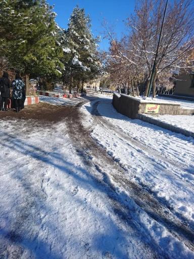 عکس دانشگاه آزاد اسلامی مرند