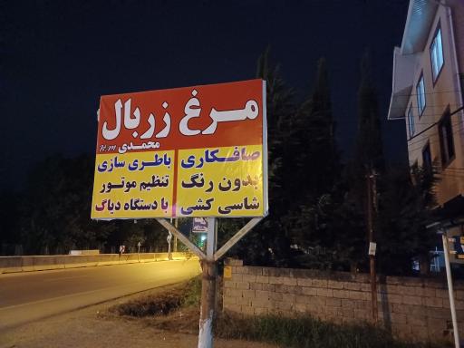 عکس مرغ زربال محمدی، مرغ فروشی، سوپر پروتئین مرغ، بال و کتف کباب