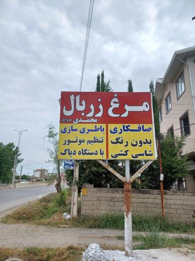 عکس مرغ زربال محمدی، مرغ فروشی، سوپر پروتئین مرغ، بال و کتف کباب