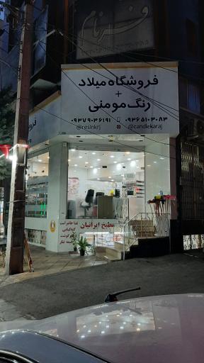 عکس رزین میلاد