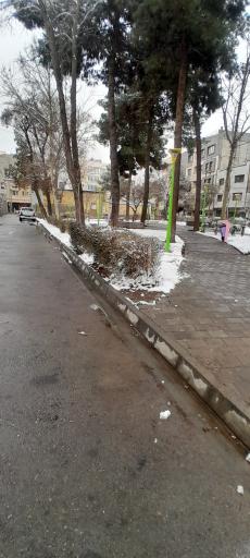 عکس بوستان نیلوفر