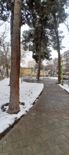 عکس بوستان نیلوفر