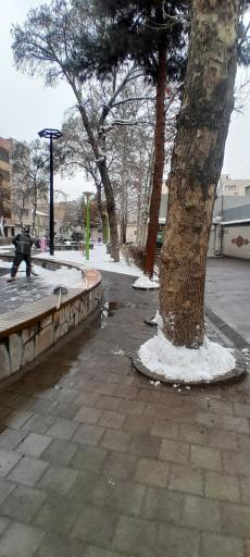 عکس بوستان نیلوفر