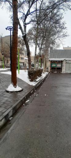 عکس بوستان نیلوفر