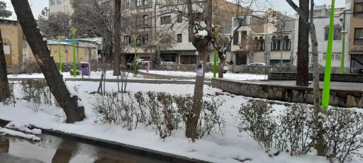 عکس بوستان نیلوفر