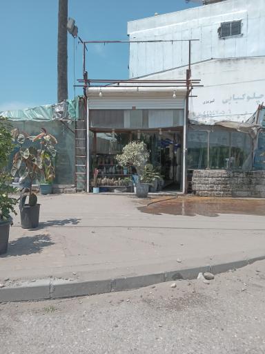 گلخانه رو