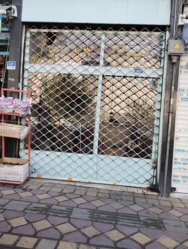 عکس کمک فنر و جلوبندی خیام