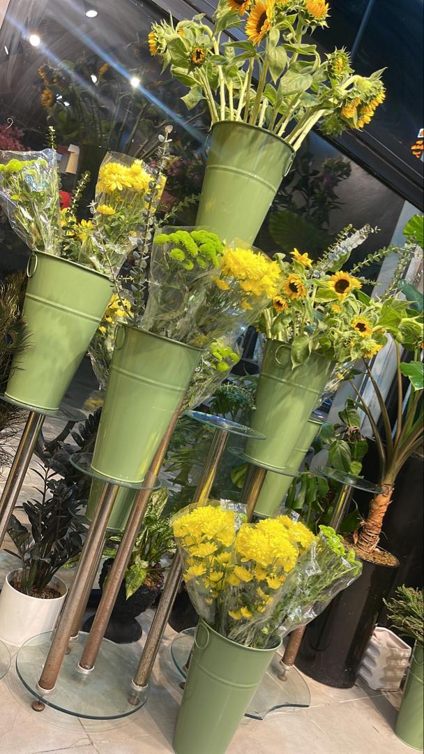 عکس مارال گل