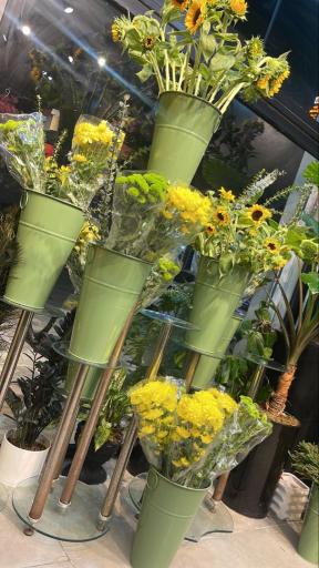 عکس مارال گل