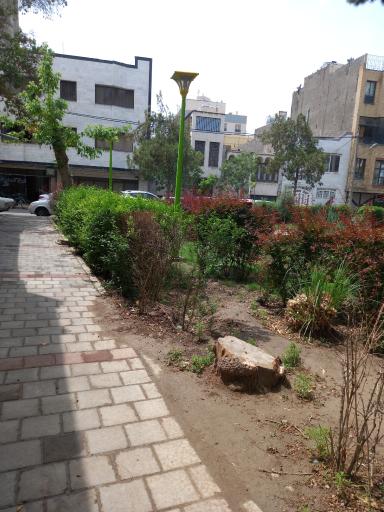 عکس بوستان نیلوفر