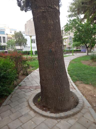 عکس بوستان نیلوفر