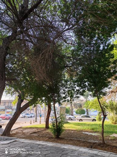 عکس بوستان سایت اداری