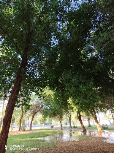 عکس بوستان سایت اداری