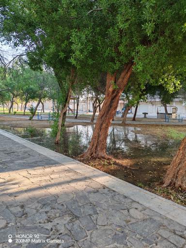 عکس بوستان سایت اداری