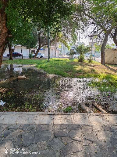 عکس بوستان سایت اداری