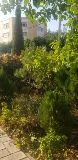 عکس مجتمع مسکونی میلاد