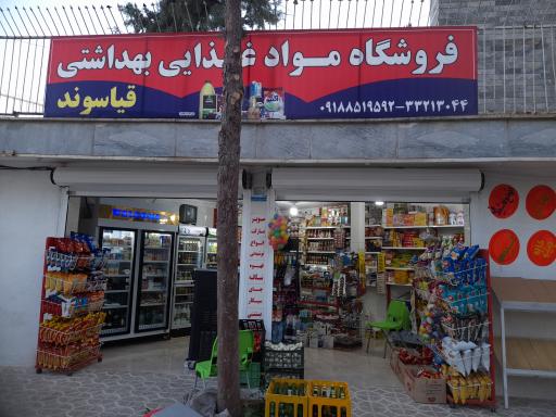 فروشگاه مواد غذایی بهداشتی قیاسوند
