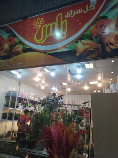 عکس گلسرای یاس