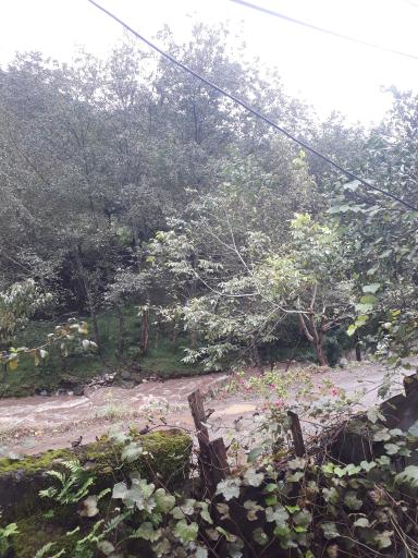 عکس مرسه