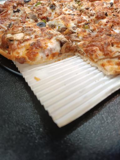 عکس ساندویچ صدف وحید هاشمیان (شعبه ۲)