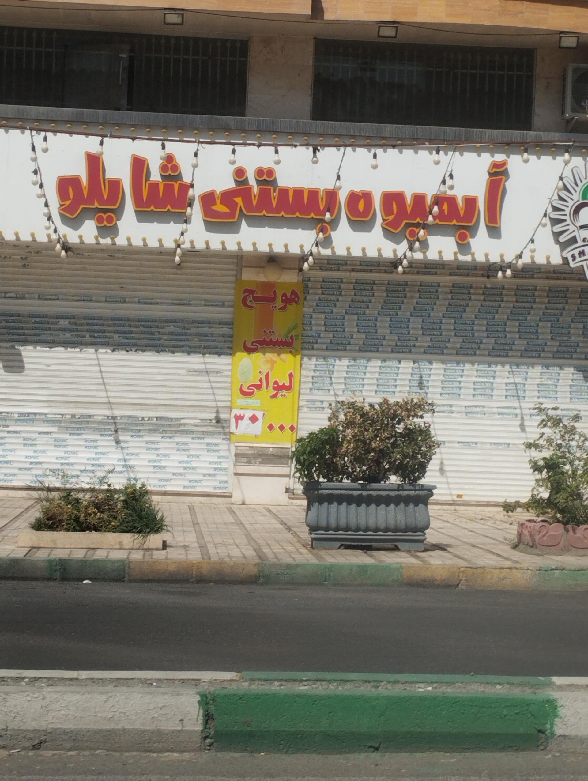 عکس آبمیوه بستنی شایلو