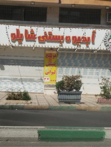 عکس آبمیوه بستنی شایلو