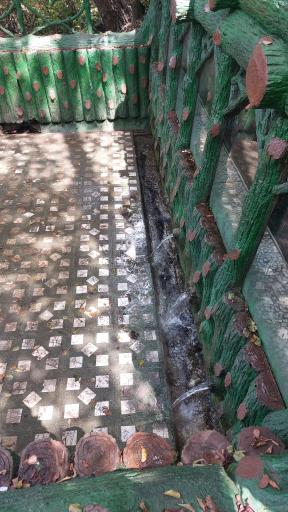 عکس چشمه کشپل