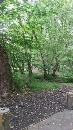 عکس چشمه کشپل