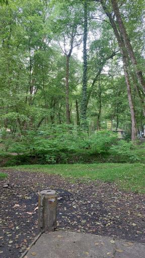 عکس چشمه کشپل