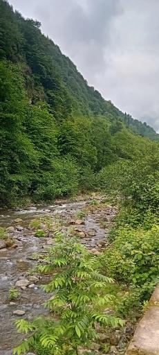 عکس مرسه