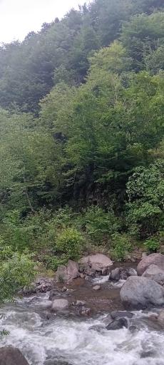 عکس مرسه