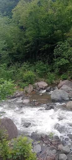 عکس مرسه