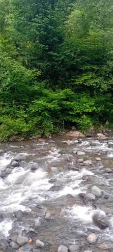 عکس مرسه