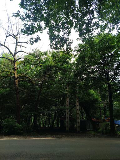 عکس چشمه کشپل