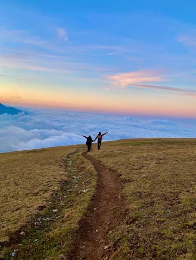عکس جنگل الیمستان