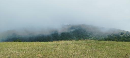 عکس جنگل الیمستان