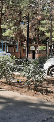 عکس پارک لاله