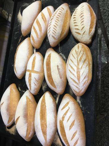 عکس مجتمع نان بهشت ( جمال باغبانی غیرتمند)