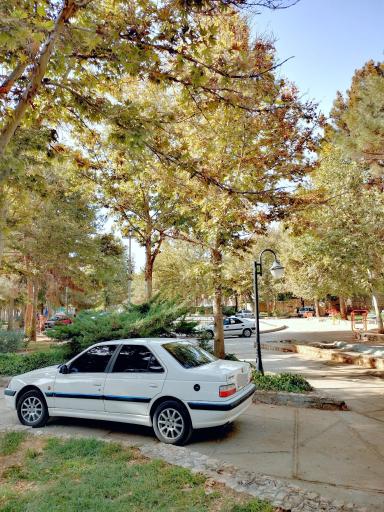 عکس پارک لاله