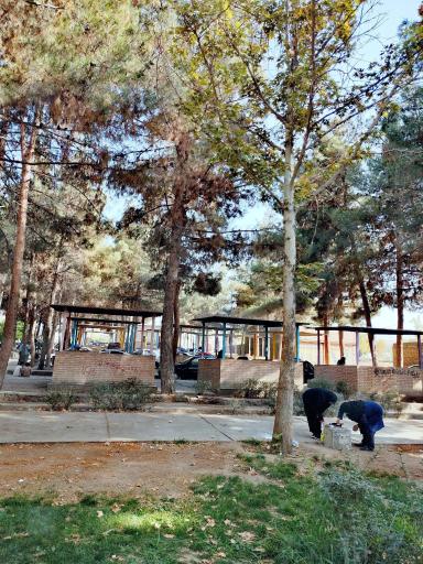 عکس پارک لاله