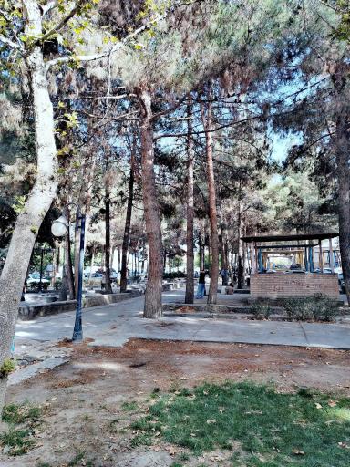 عکس پارک لاله