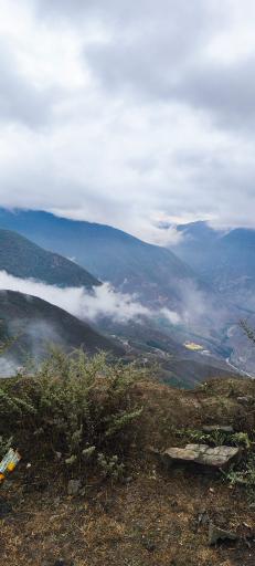 عکس جنگل الیمستان