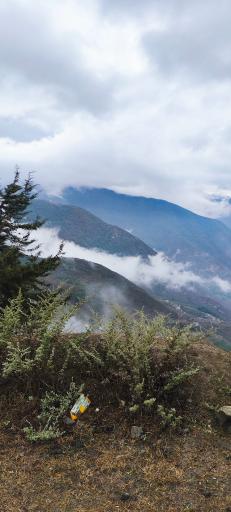 عکس جنگل الیمستان