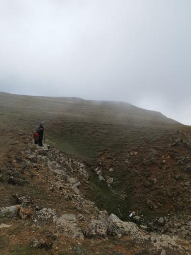 عکس جنگل الیمستان