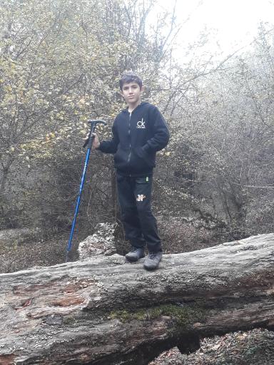 عکس جنگل الیمستان