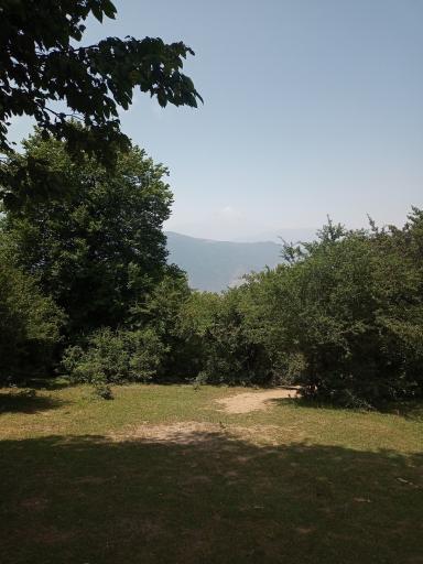 عکس جنگل الیمستان