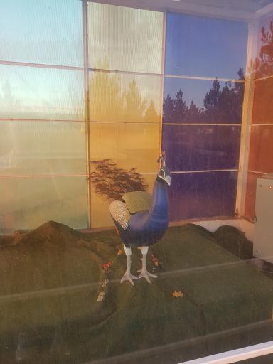 عکس مجموعه گردشگری سرزمین ربات ها 